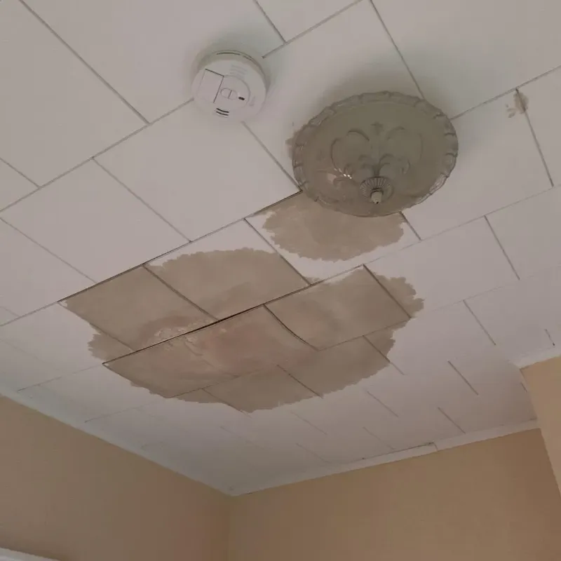 Ceiling Water Damage Repair in New Baden, IL