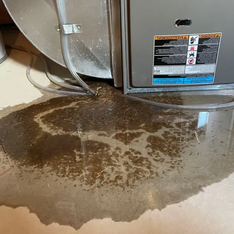 Pipe Burst and Leak Restoration in New Baden, IL