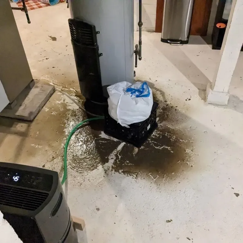 Sewage Backup Cleanup Service in New Baden, IL